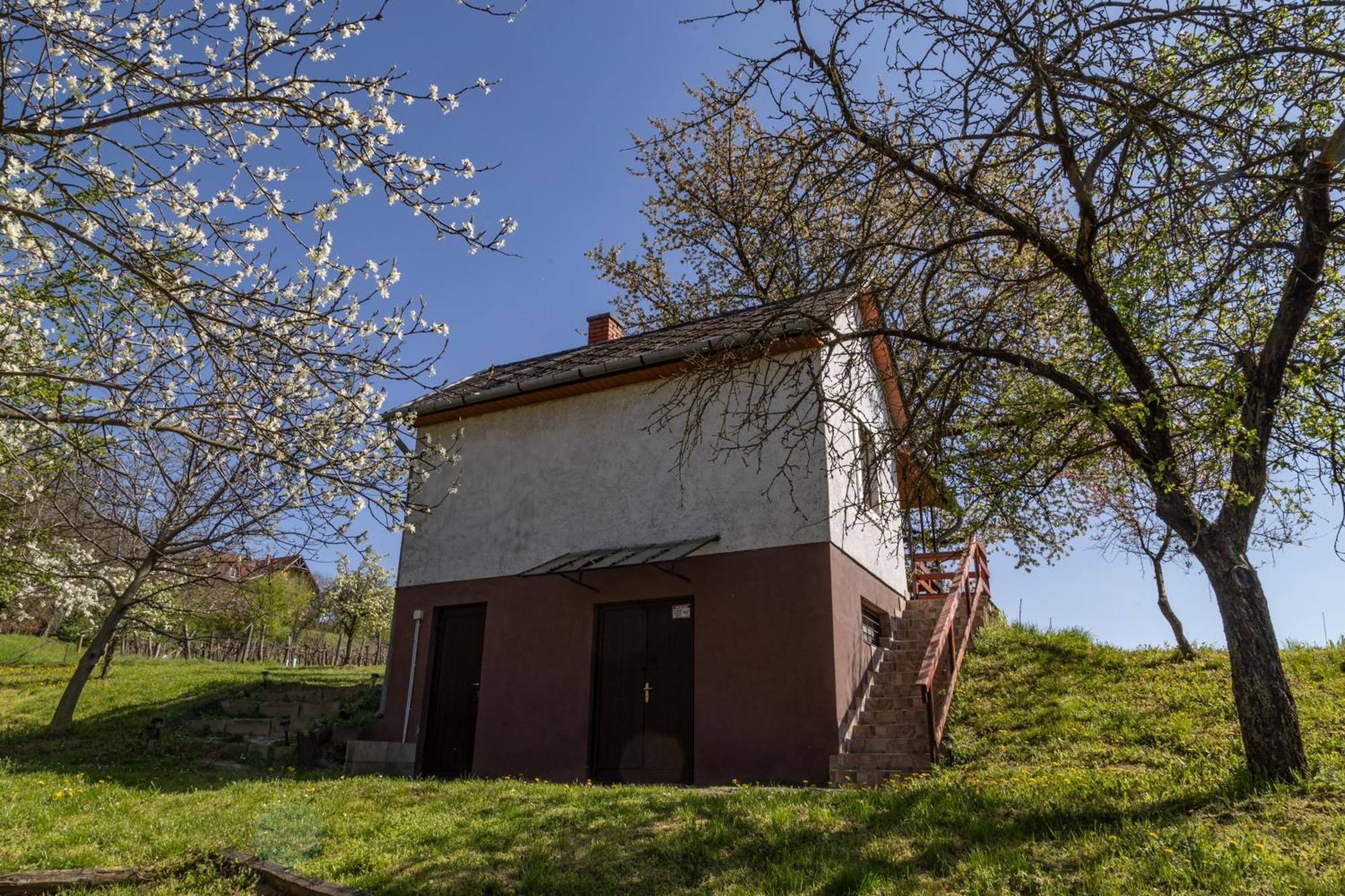 Balatoni Preshaziko Villa Szolosgyorok Exterior photo