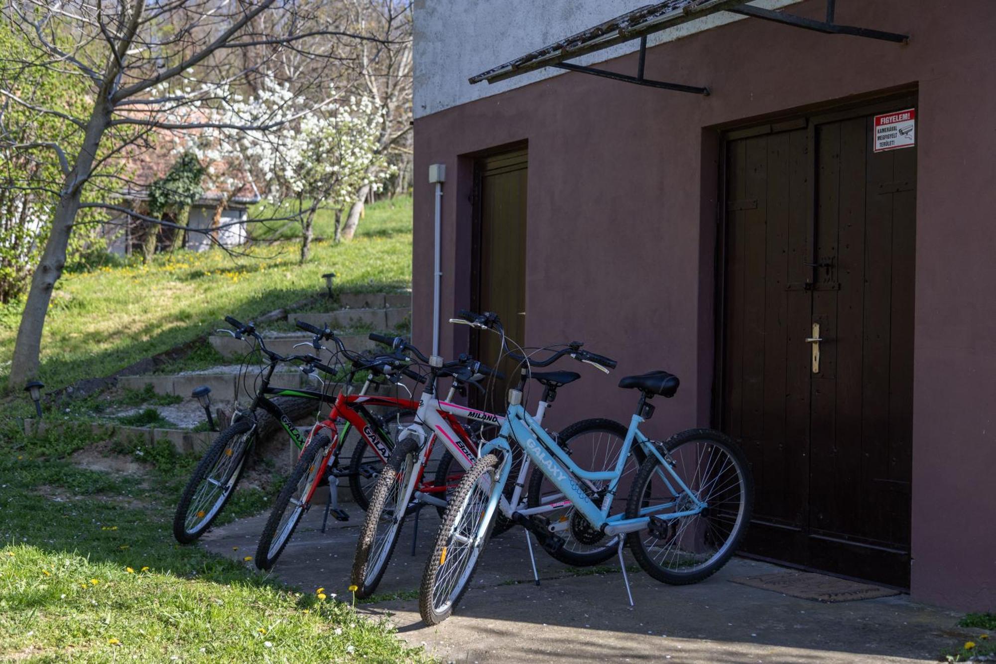 Balatoni Preshaziko Villa Szolosgyorok Exterior photo