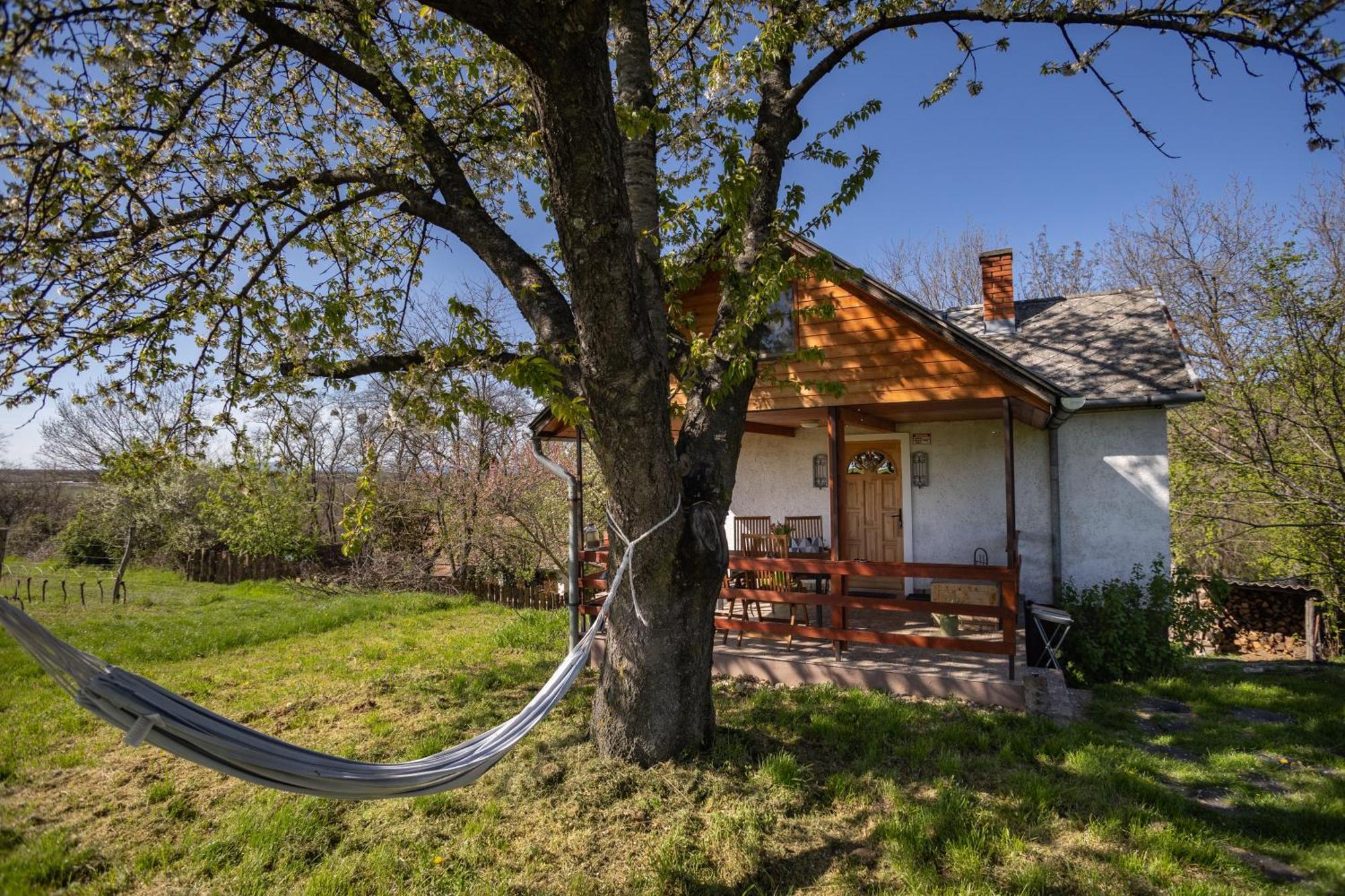 Balatoni Preshaziko Villa Szolosgyorok Exterior photo