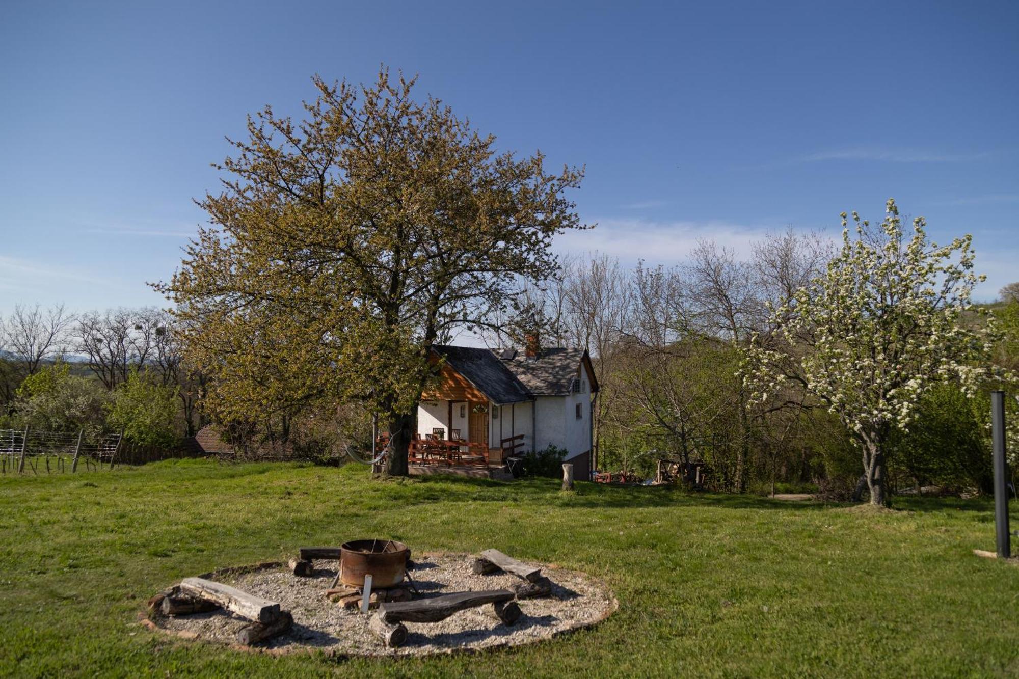 Balatoni Preshaziko Villa Szolosgyorok Exterior photo